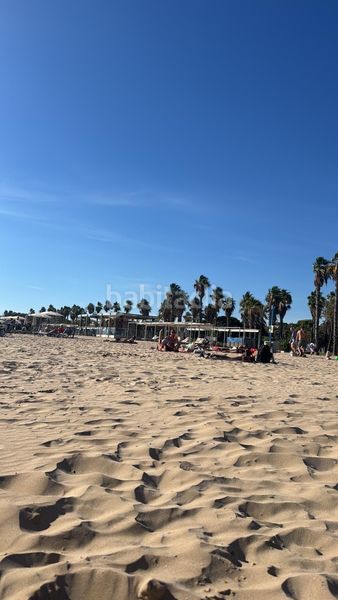 Foto eaef6929-df35-4075-95a2-a27a82b21096. Pis a Platja de Llevant Salou