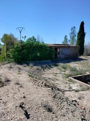 Finca rústica en Polígono diseminado La Molata 19 poligono 26 parcela 1