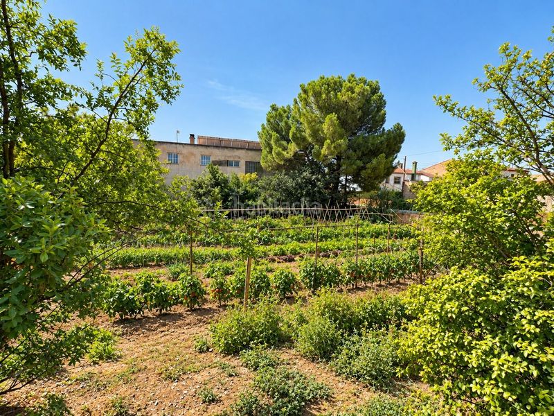 Foto 8614ba00-5526-4bca-9024-9824ff69d513. Finca rústica en Cijuela