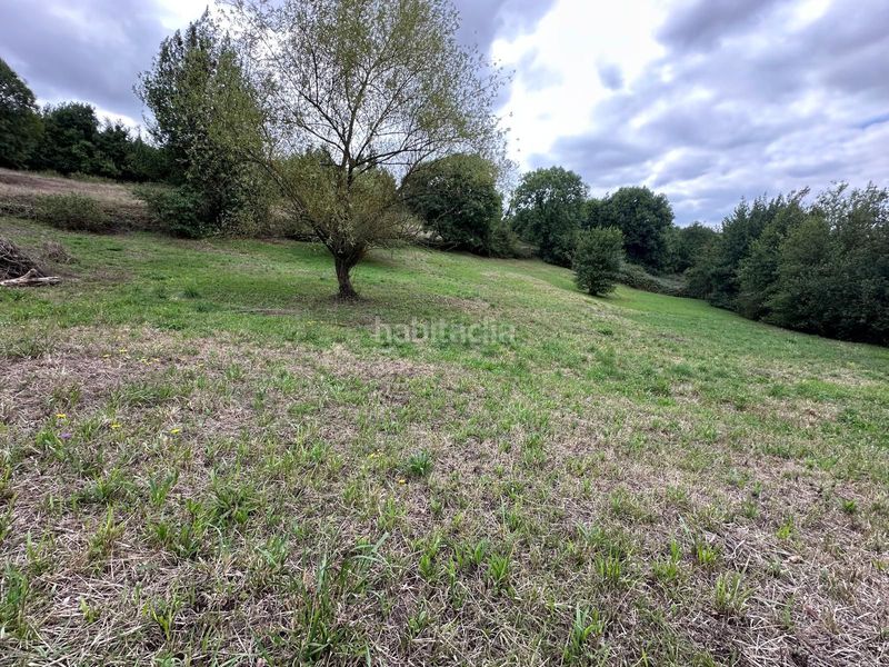 Foto 7b0250e5-74a0-4e83-afd7-a793d40363bd. Terreny residencial a Cabrales