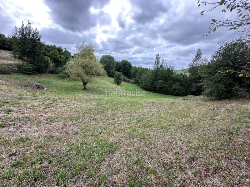 Foto d9d721c2-a0b9-4e58-a5c5-d6c82dfccb48. Terreny residencial a Cabrales