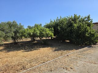 Rural plot in Calle Verea de la tarde