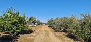 Rural plot in Carretera ROCIANA DE CONDADO A VILLARRASA