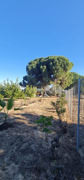 Foto 544fb889-0590-4ba0-a2ed-3c34ca9d4e16. Finca rústica a Rociana del Condado