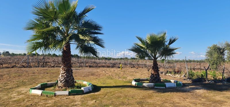 Foto b58f6d86-a71b-479c-adf6-463925fbbe9c. Finca rústica a Rociana del Condado