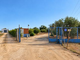 Casale  Camino villagordo diseminados