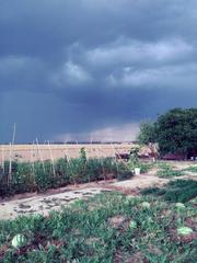 Rural plot in Terrenos poligono 1