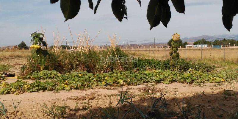 Foto 1919c350-6c12-4004-b932-0db91bd736d1. Finca rústica en terrenos poligono 1 en Valdetorres de Jarama