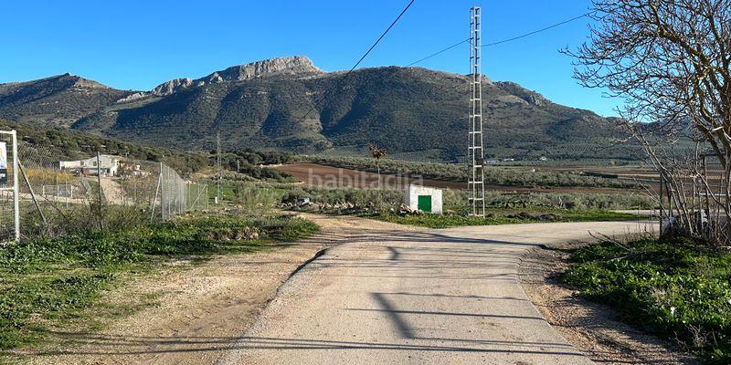 Foto 93d27175-23bb-442b-8237-12c0ecbf18d6. Terreny residencial a Archidona