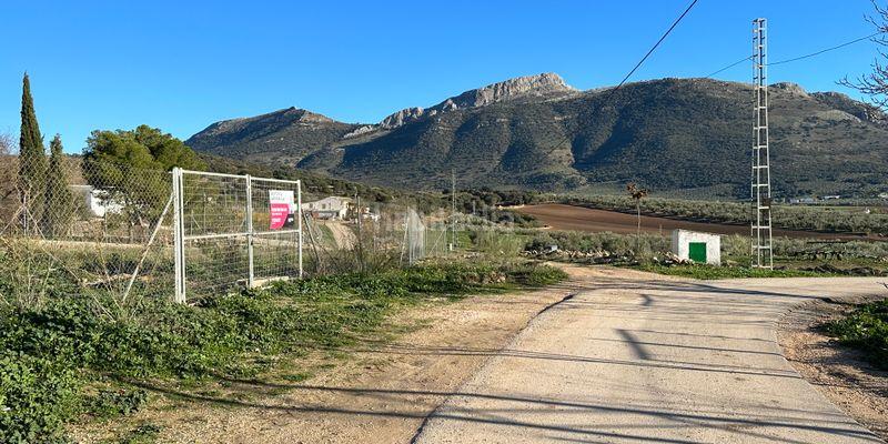 Foto e3f9d533-bb1d-4dae-8378-d931612d6141. Terreny residencial a Archidona