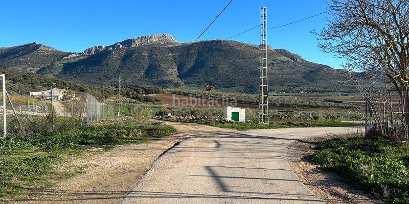 Foto e9f48d31-520f-4d54-8751-48bfe4a22696. Terrain résidentiel dans Archidona