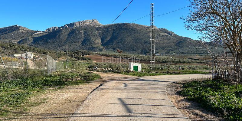 Foto 10ff063c-ffb9-4612-a968-1a14c293df71. Terreno residenziale in Archidona