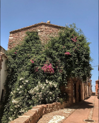 Country house in Calle nou 15