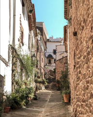 Mas à Calle nou 15