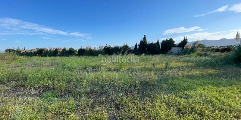 Foto 85c2cf93-fd03-48ac-8fbb-c3443f61bc1f. Fondo rustico in Bulevar del Xúquer Cullera