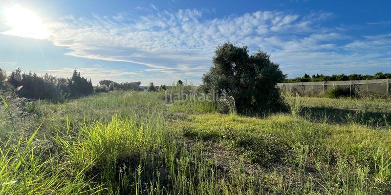 Foto 9c33d640-ed54-4c36-9cef-ec1342a42874. Landgut in Bulevar del Xúquer Cullera