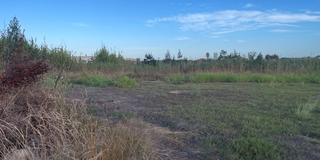 Rural plot  Camino del pla