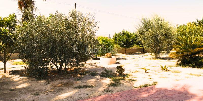 Foto 12a2d31e-2445-4080-bbc5-40dfafe60458. Casa en Molins - Campanete - San Bartolomé Orihuela