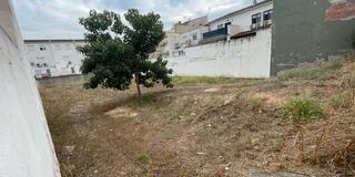 Finca rústica  Avenida avinguda jaume i