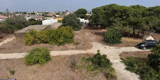 House in Camino CALLEJON DEL ALMENDRAL