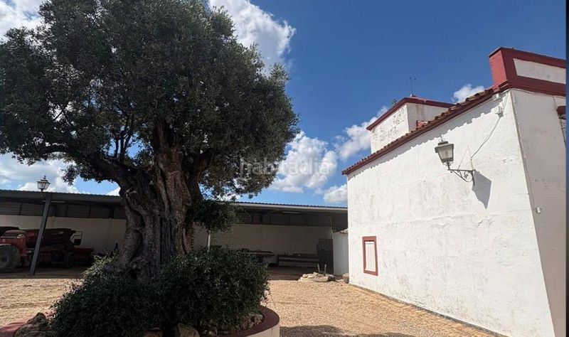 Foto aad1d062-ec31-471d-b356-6cc00d50819d. Casa amb aparcament a Fuente Palmera