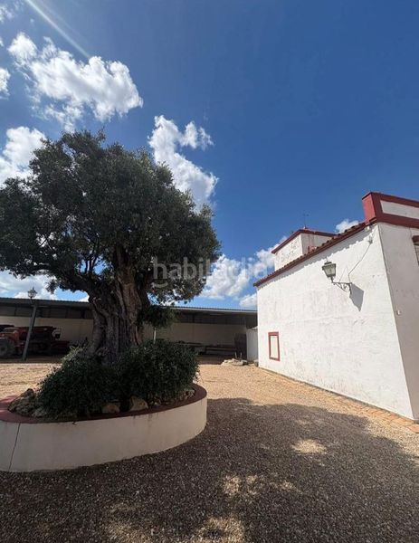 Foto b56e6867-e0ba-4026-b3ef-468fc1240440. Casa amb aparcament a Fuente Palmera