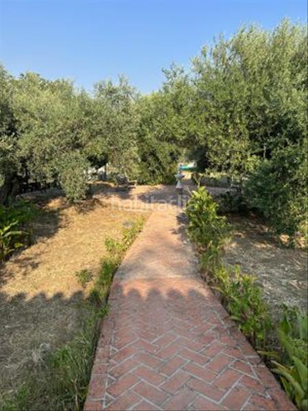 Foto b5895a97-383c-487f-b818-3a777ce637d7. Country house with parking in Centro Ronda