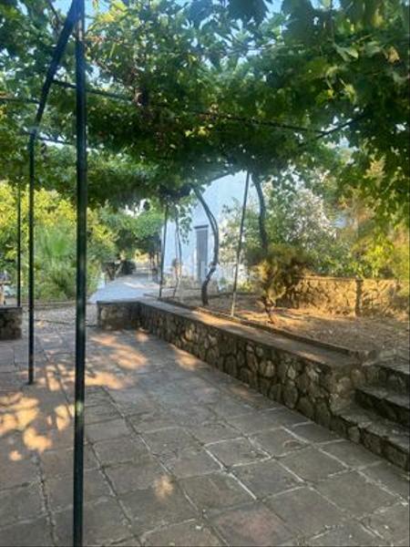 Foto edd131ba-3588-49ad-baf2-8c7dbd360d8e. Country house with parking in Centro Ronda