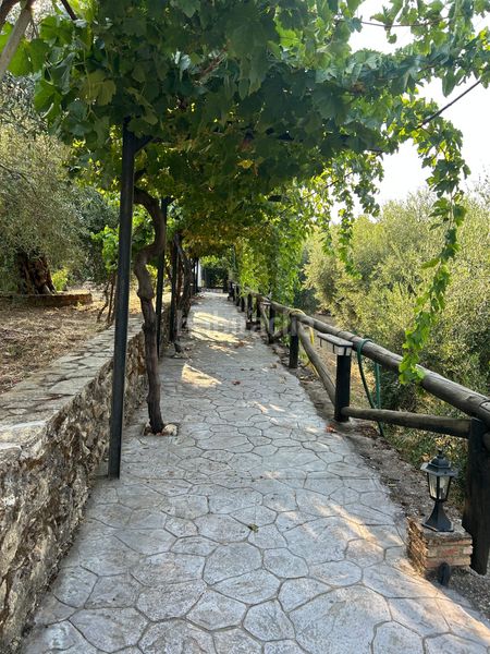 Foto eb878061-6a3d-4afc-8ca6-2b7e02acd986. Masia amb aparcament a Centro Ronda