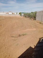 Terreny residencial a Calle MIGUEL HERNANDEZ