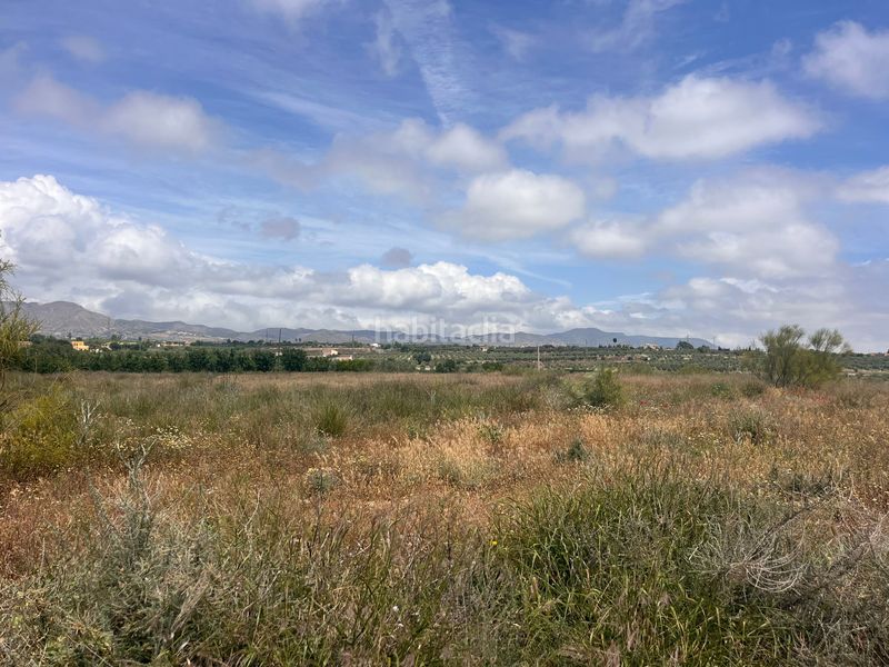 Foto 0f41e63a-d15b-4175-8e65-faec0c45db41. Finca rústica a Tíjola