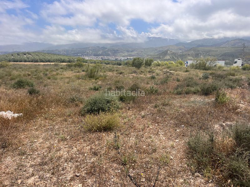 Foto 45b23257-e7f1-47da-b5ef-3e0cf1e1c82d. Finca rústica a Tíjola