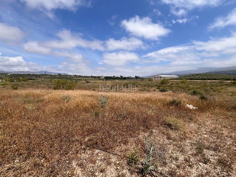 Foto 4f2d2cc9-f36d-47a5-ab7e-0f63142b1a4a. Finca rústica a Tíjola