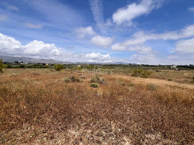 Foto a2337d85-c062-4263-9f37-9607e8af0732. Finca rústica a Tíjola