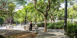 Pis  Calle torrent de l'olla