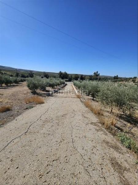 Foto 2123b8a0-d151-492f-b3ad-4f20b58661ad. Finca rústica a Monturque