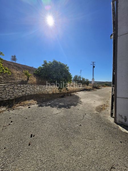 Foto 42e2b25b-1759-4385-bd8f-e3d451deb432. Finca rústica a Monturque