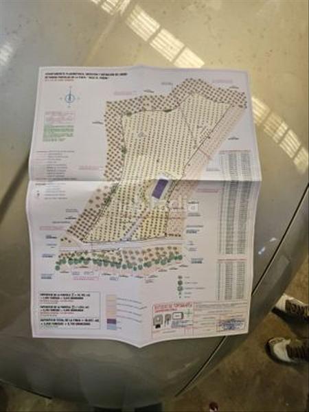 Foto 84be314f-0ef1-4015-8461-ffb3b6376207. Finca rústica a Monturque