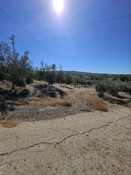 Foto c612a6a1-4207-47b3-8876-6a075564a3d1. Finca rústica a Monturque