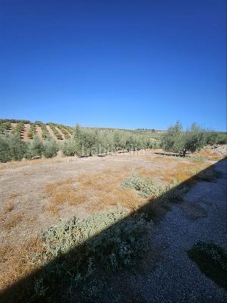 Foto df116cd1-2816-4c90-b244-db72c4ea6050. Finca rústica a Monturque