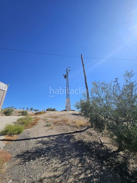 Foto e7bd3b82-6af0-4bc7-9341-7dac96f6b9f4. Finca rústica en Monturque