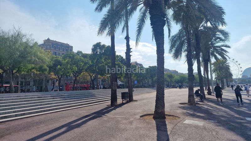 Foto 40237936-5859-47df-943f-3b5c6bdc761a. Pis a Barceloneta Barcelona