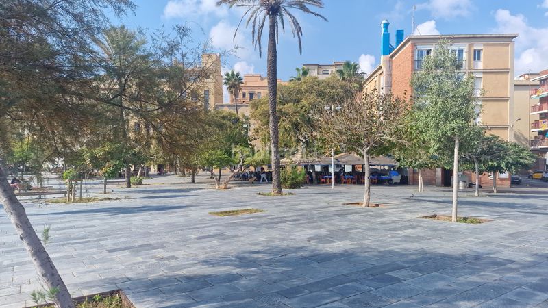 Foto d7f59090-8650-42a0-9c9a-10f9ed51e665. Pis a Barceloneta Barcelona