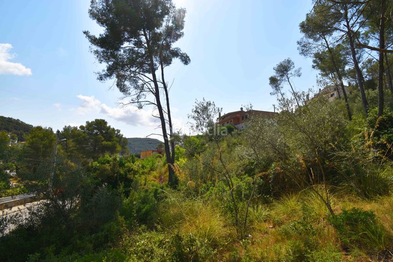 Foto f5eecf61-49e4-4c68-9b10-78b7484dea9f. Finca rústica a Olivella