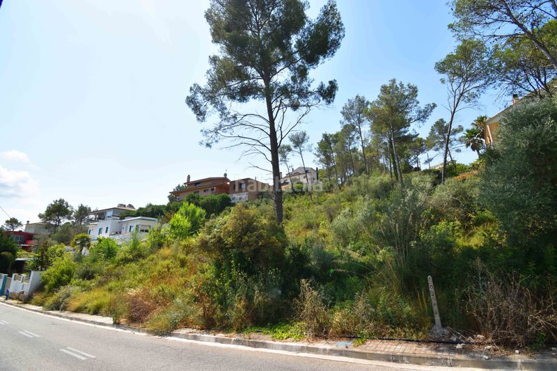 Foto f85ff867-f65d-4e0e-aba7-ea864a0fb7ac. Finca rústica a Olivella