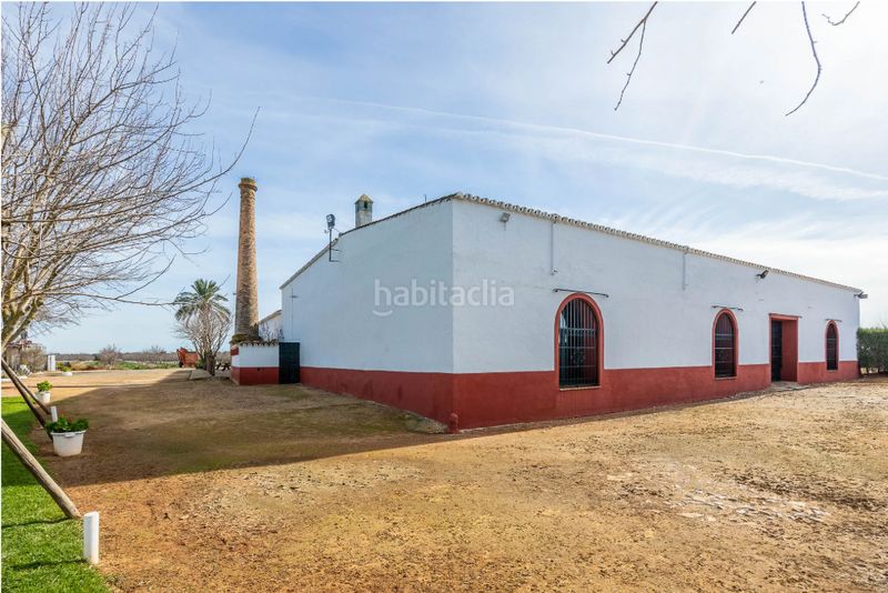 Foto 0cc5bd74-8076-4971-9447-10c599c83859. Masía en Carmona