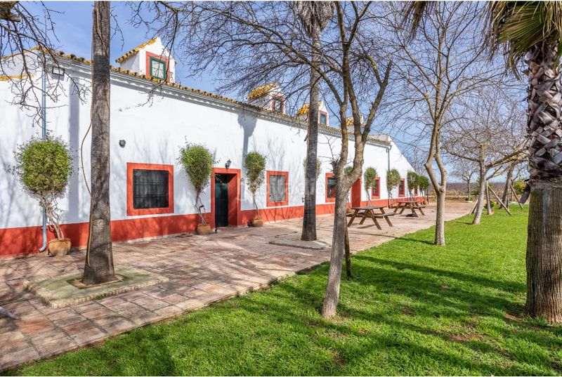 Foto 49c10a75-7995-4f72-9ee7-57b2bd588ab4. Masía en Carmona