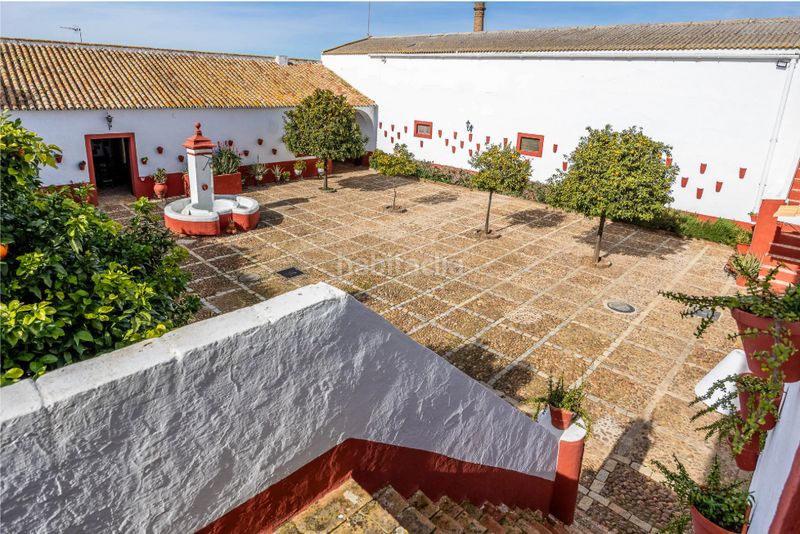 Foto d5759d50-5243-4476-8dbe-0cf3dba40bdb. Masía en Carmona