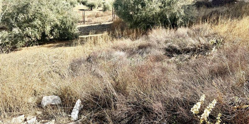 Foto 519f3c46-2caa-4df2-99f6-6ffd570f2898. Terreny residencial a Casabermeja