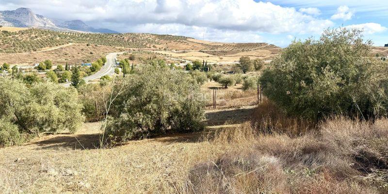 Foto fa4328e4-911e-4bea-8f50-a6f71ffa4dd0. Terreny residencial a Casabermeja